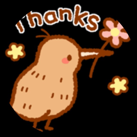 grizzly_kiwi